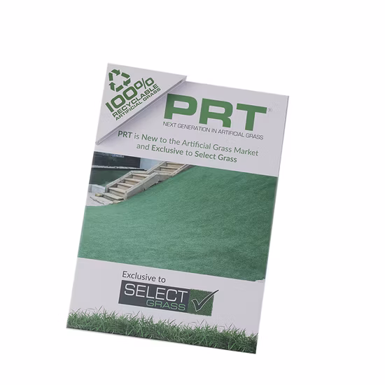 High Quality Strong Cardboard Paper Protection Filer Folder on Sales
